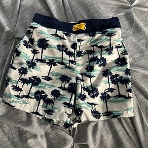 Cat & Jack Toddler Boys 3T swim shorts trunks